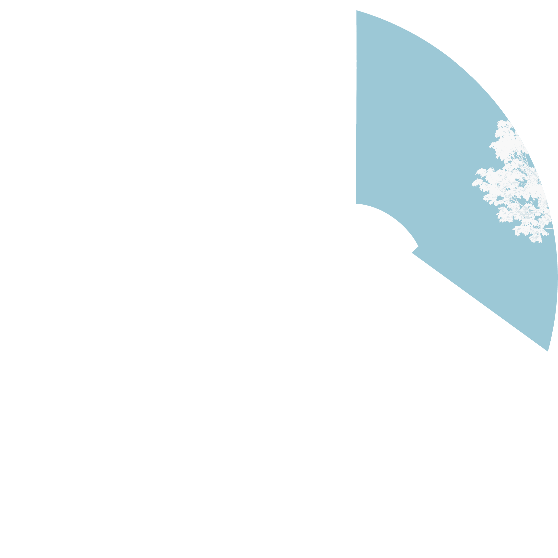 Cielo