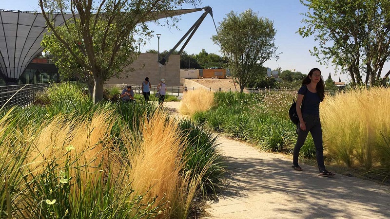 NATIONAL CAMPUS FOR ARCHAEOLOGY shlomo ARONSON cubiertas verdes ecologicas vegetacion adaptada calor jerusalen