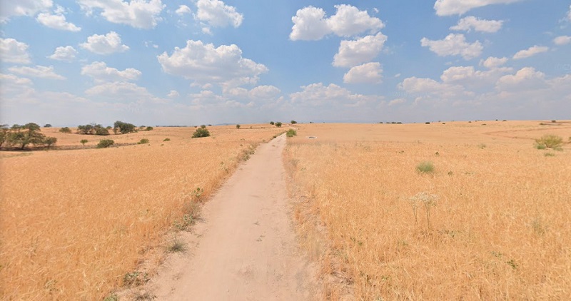 campo de trigo cebada cereal madrid pardo agricultura agronomo actividad economica rural