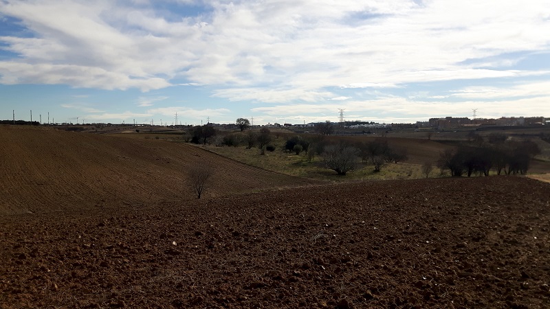 parque regional cuenca alta del manzanares terrenos protegidos el pardo agricultura granjas cultivos cereal