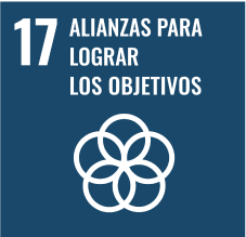 Icono de ODS 17